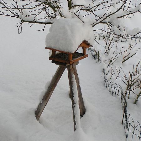 Ferienwohnung Fewo TaLuLa - Sauerland mit Hund Medebach Exterior foto