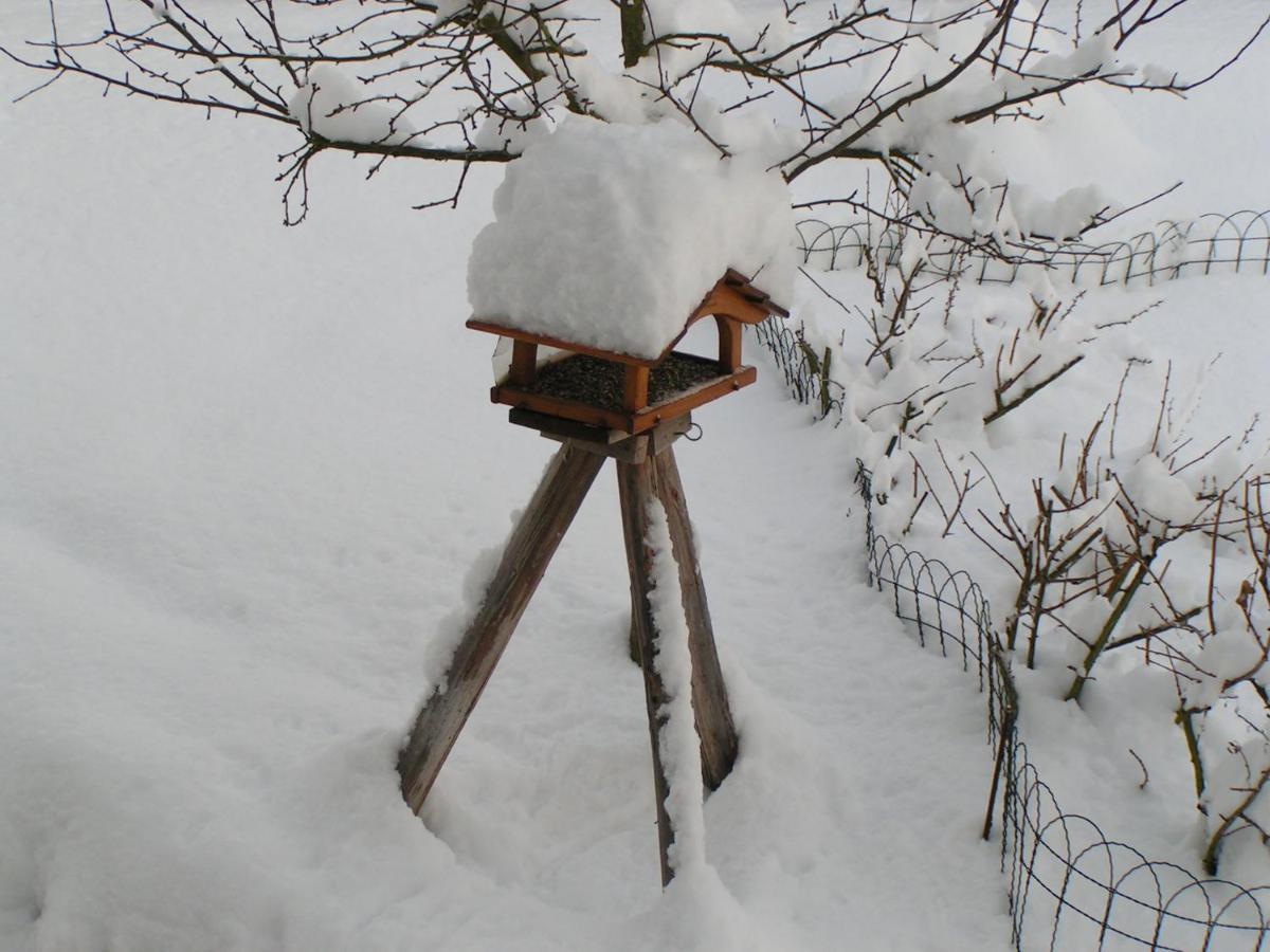 Ferienwohnung Fewo TaLuLa - Sauerland mit Hund Medebach Exterior foto