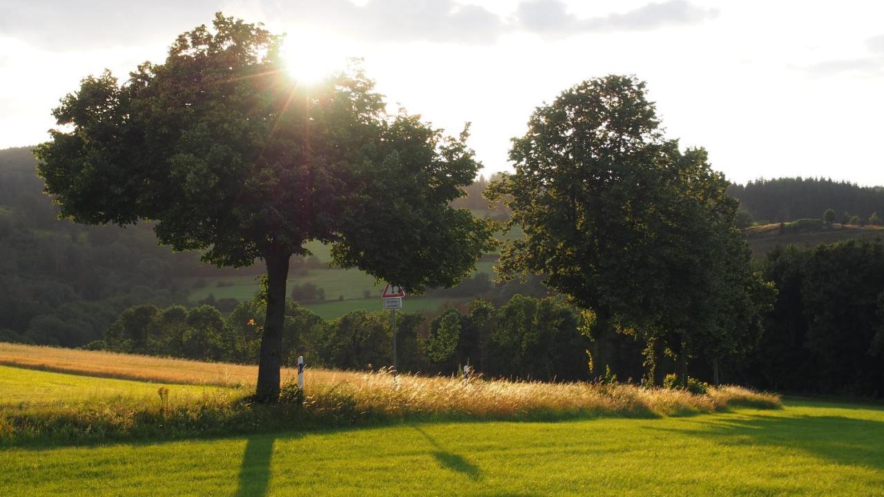 Ferienwohnung Fewo TaLuLa - Sauerland mit Hund Medebach Exterior foto