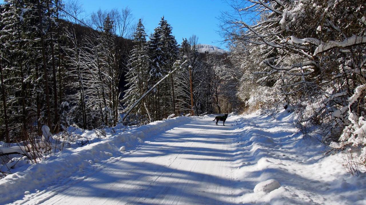 Ferienwohnung Fewo TaLuLa - Sauerland mit Hund Medebach Exterior foto