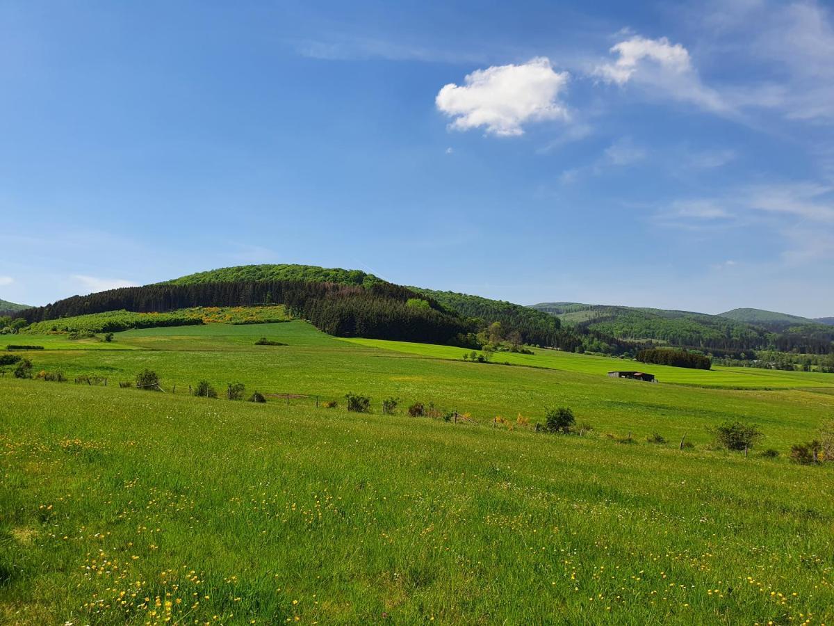 Ferienwohnung Fewo TaLuLa - Sauerland mit Hund Medebach Exterior foto