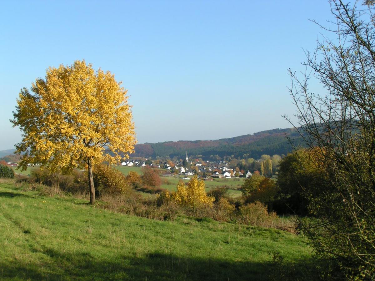 Ferienwohnung Fewo TaLuLa - Sauerland mit Hund Medebach Exterior foto