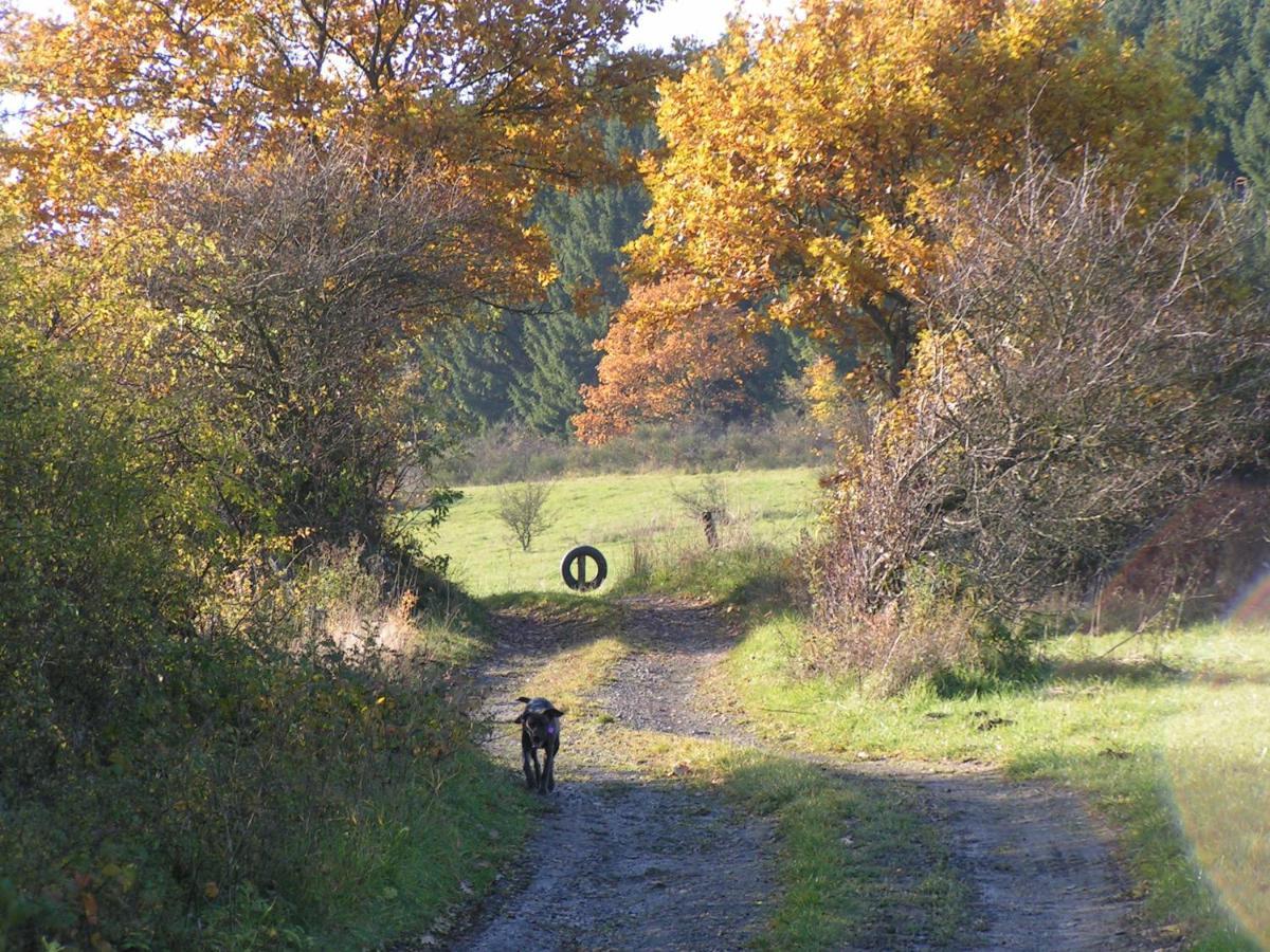 Ferienwohnung Fewo TaLuLa - Sauerland mit Hund Medebach Exterior foto